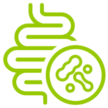 FAVORECE A SAÚDE INTESTINAL